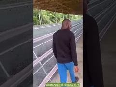 A Type 3-Tier Layer Chicken Cage Laying Hens Poultry Cage