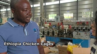 Timbal balik pelanggan