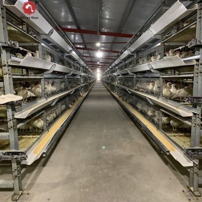 Automatic H-Type Broiler Battery Cage System for Meat Chicken Farms | Hot-Dip Galvanized