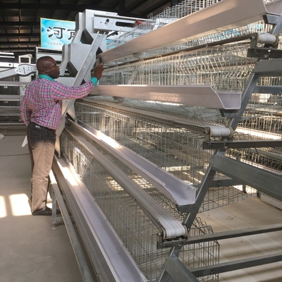 Hot Galvanized Automatic A-type H-type Poultry Cage For Bathroom In Laying Hens Farm