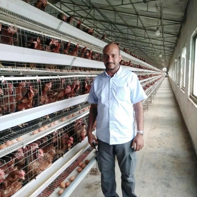 Hot Galvanized A Type 3 / 4 tier Chicken Cage Layer Poultry For Farming Equipment