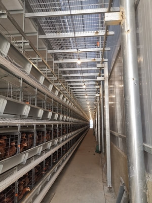 Poultry Farm House Layer Battery Cage For 90 Chickens, Optimized For Laying Hens