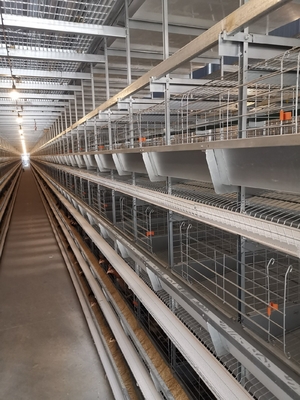 Poultry Farm House Layer Battery Cage For 90 Chickens, Optimized For Laying Hens