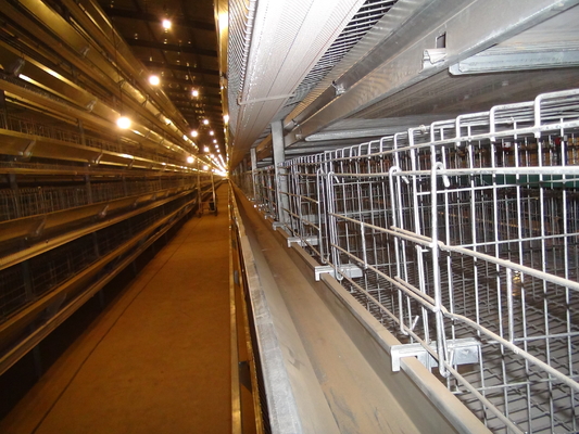 Hot Galvanized Automatic A-type H-type Poultry Cage For Bathroom In Laying Hens Farm