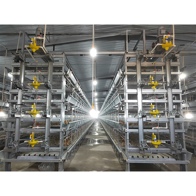 90-160 Birds H Type Chicken Cage Poultry Farming Design