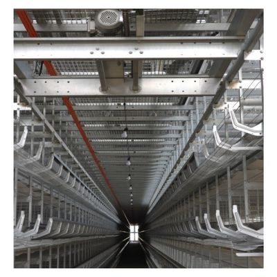 Hot Dip Galvanized Steel High Capacity Battery Chicken Cage with Automatic Feeding & Drinking System for Large Poultry Farm