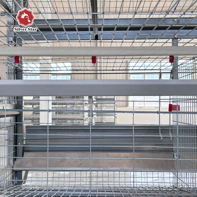 Commercial Layer Battery Cage for 20,000+ Birds Farm Design High-Density Automatic Layer Battery Cage for Mega Farms