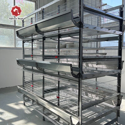 Hot Dip Galvanized Steel H-Type Layer Battery Cage System for Commercial-Scale Poultry Farms with High Capacity 20000+ Birds and Full Automation