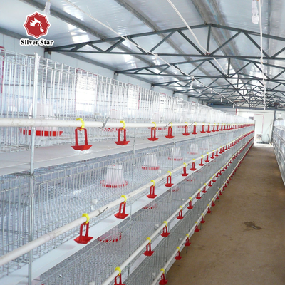 Automatic A-Type Baby Chick Brooding Cage System with Hot Dip Galvanizing and Automatic Nipple Drinkers for 100-300 Chickens/set