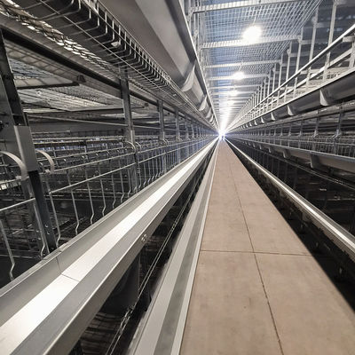 54-384 Birds/Set Layer Bird Cage , SONCAP Battery System Of Poultry Farming