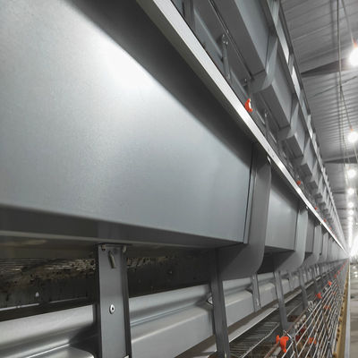 Fully Automatic H-Type Broiler Chicken Cage System with Auto Feeding & Cleaning for High Density Commercial Meat Chicken Farms
