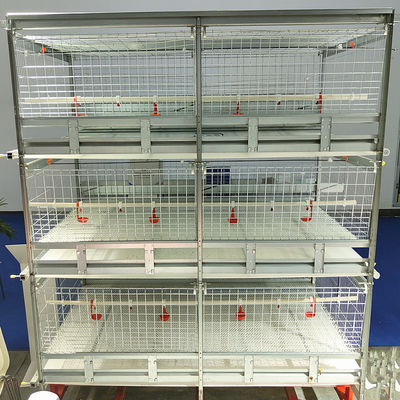 H Type Meat Chicken Cage System for High Density Broiler Farming