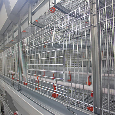 Commercial H-Type Meat Broiler Battery Cages | Automated Intensive Broiler Farming Solution