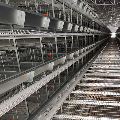 SGS 3-10layers Automatic Poultry Feeding System H Shape Commercial Use