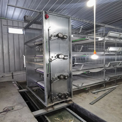 H-Type Battery Cage System with Hot Dip Galvanizing, Automatic Feeding Trough, and Stackable Modular Design for Commercial Farms