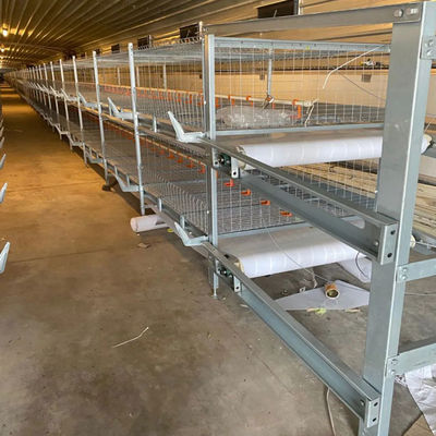 H-Type Automated Broiler Cage System for Commercial Poultry Farms