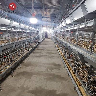 Automatic H-Type Broiler Battery Cage System for Meat Chicken Farms | Hot-Dip Galvanized