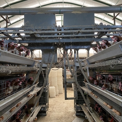 Unggas H Type 3 Tier 4 Tier Ayam Petelur Kandang Ayam Petelur