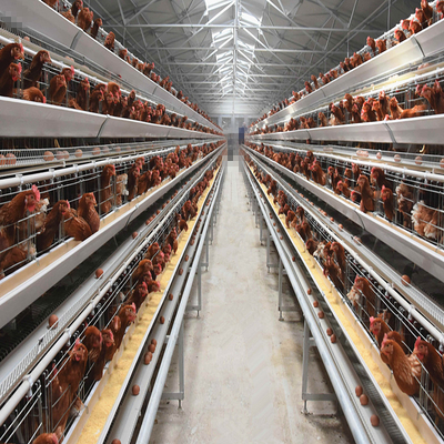 A Type 4 Tiers / Floors 128, 160 Birds Per Set Poultry Layer Cage For Laying Eggs