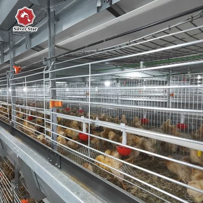 Sistem Kandang Broiler Daging Tipe H Otomatis.