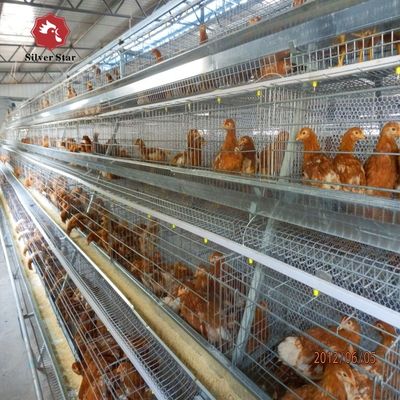 A-Type Broiler Battery Cage System for Poultry Farm Hot-Dip Galvanized A-Type Broiler Cage Produsen
