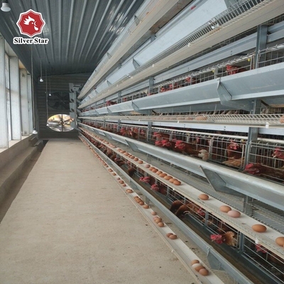 H Type Battery Broiler Chicken Cage Automatic For Poultry Farm