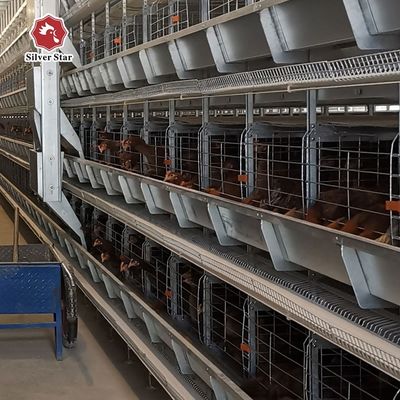 H-Type Automatic Layer Battery Cage System untuk peternakan unggas komersial - Hot-Dip Galvanized, Pengumpulan Telur Otomatis, Umur Layanan 15-20 Tahun