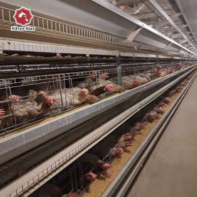 Sistem Kandang Ayam Lapisan Tipe H | Peralatan Unggas Otomatis untuk Peternakan Telur Komersial