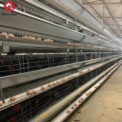 Sistem Kandang Baterai Tipe H Multi-Tingkat untuk Produksi Telur Ayam Petelur
