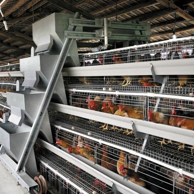 Sistem Kandang Ayam Tipe Lapisan, Peralatan Kandang Unggas, Kandang Lapisan Telur untuk Peternakan Ayam