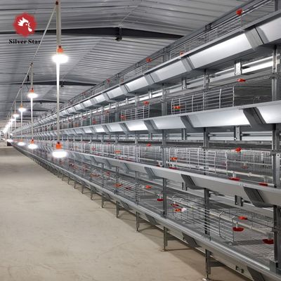 Sistem Kandang Broiler Tipe H dengan Hot Dip Galvanizing untuk Breeding Densitas Tinggi dan Penganan Otomatis