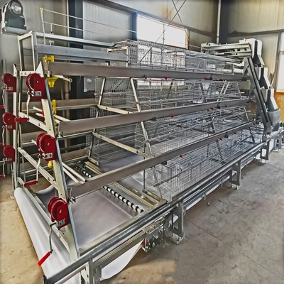 Long Time A Type Farm Chicken Battery Cages For Layers Double Cold Galvanized