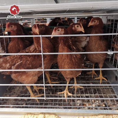 A Type 4 Tiers / Floors 128, 160 Birds Per Set Poultry Layer Cage For Laying Eggs