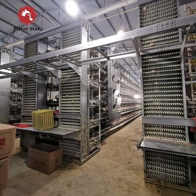 Sistem Kandang Baterai Broiler Tipe H Otomatis untuk Peternakan Ayam Pedaging Komersial