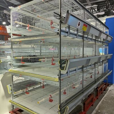 Sistem Kandang Pengembangbiakan Anakan Anak Anak H-Type Otomatis dengan Hot Dip Galvanizing dan Kapasitas 100-300 Ayam/set