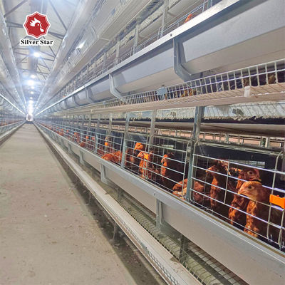 Boost Your Poultry Farm's Efficiency with Automatic Manure Cleaning Battery Chicken Cages
