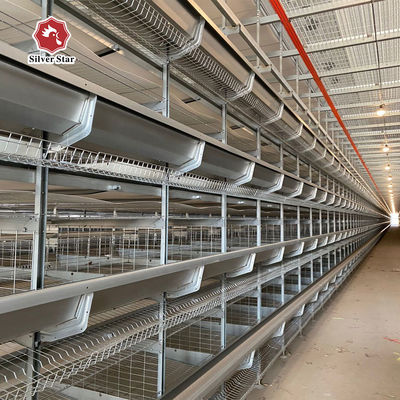 Kandang Baterai Lapisan Komersial untuk 20.000+ Desain Peternakan Burung Kandang Baterai Lapisan Otomatis Densitas Tinggi untuk Mega Farms