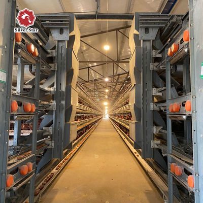 Sistem Kandang Baterai Otomatis Tipe H untuk Layer & Broiler | Langsung Pabrik