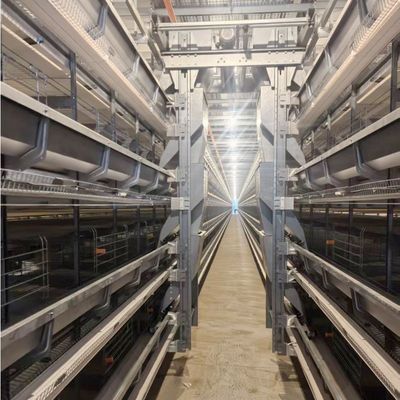 Battery Layer Cages hot-dip galvanized steel for Poultry Farm Egg Chicken Cage Equipment