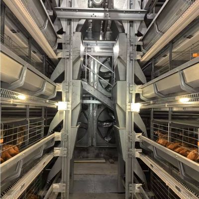 Hot-Dip Galvanized Battery Chicken Cage with Automatic Feeding System for Large Poultry Farm Project (3-8 Tiers)