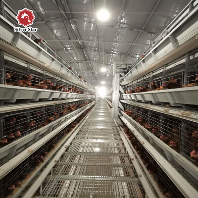 Kandang Ayam Lapis Tipe H dengan Umur Pakai 20 Tahun untuk 54-216 Ekor Ayam Betina dalam 3-8 Tingkat