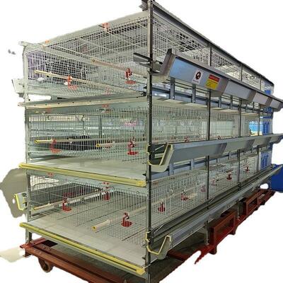 Design Chicken House Laying Coop H Type Broiler Cages Feeder Battery Cage System Egg Hen Meat Layer Breed Poultry Farm Equipment
