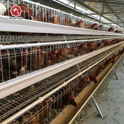 A-Type Broiler Battery Cage System for Poultry Farm Hot-Dip Galvanized A-Type Broiler Cage Produsen