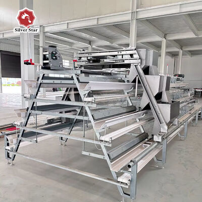 Sistem sangkar ayam Tipe-A berlapis dengan desain 3-Tier / 4-Tier, Automatic Feeding & Egg Collection, Hot-Dip Galvanized Steel