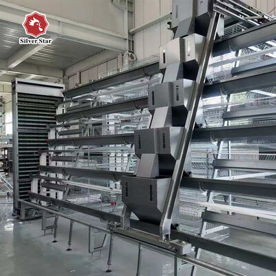 Hot Dip Galvanized Steel High Capacity Poultry Automatic Feeding & Drinking System for Layer Chicken Cage