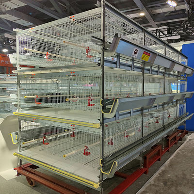 Fully Automatic H-Type Broiler Chicken Cage System with Auto Feeding & Cleaning for High Density Commercial Meat Chicken Farms