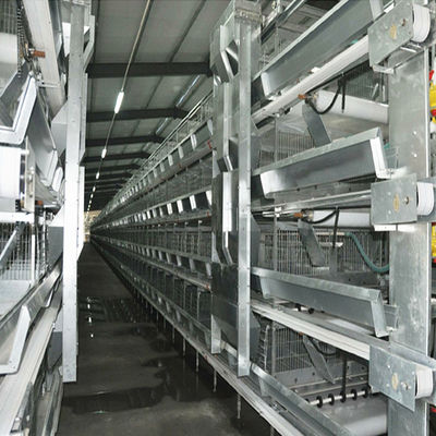 Sistem kandang baterai otomatis tipe H dengan galvanisasi panas dan desain modular yang dapat ditumpuk untuk peternakan lapisan telur komersial