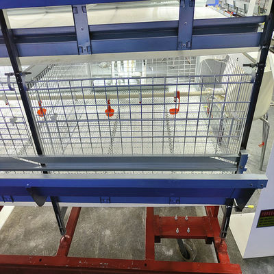 Fully Automatic H-Type Broiler Chicken Cage System with Auto Feeding & Cleaning for High Density Commercial Meat Chicken Farms