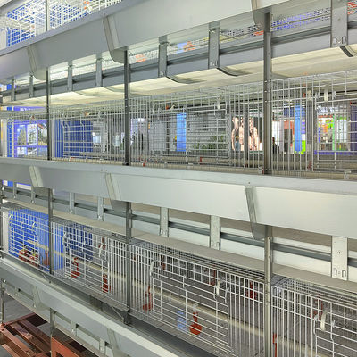 Commercial H-Type Meat Broiler Battery Cages | Automated Intensive Broiler Farming Solution