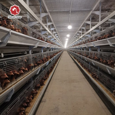Sistem Kandang Broiler Tipe H Komersial untuk Peternakan Unggas Skala Besar